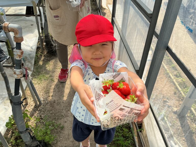 🍓苺狩り🍓にじ・そら・くじらチーム