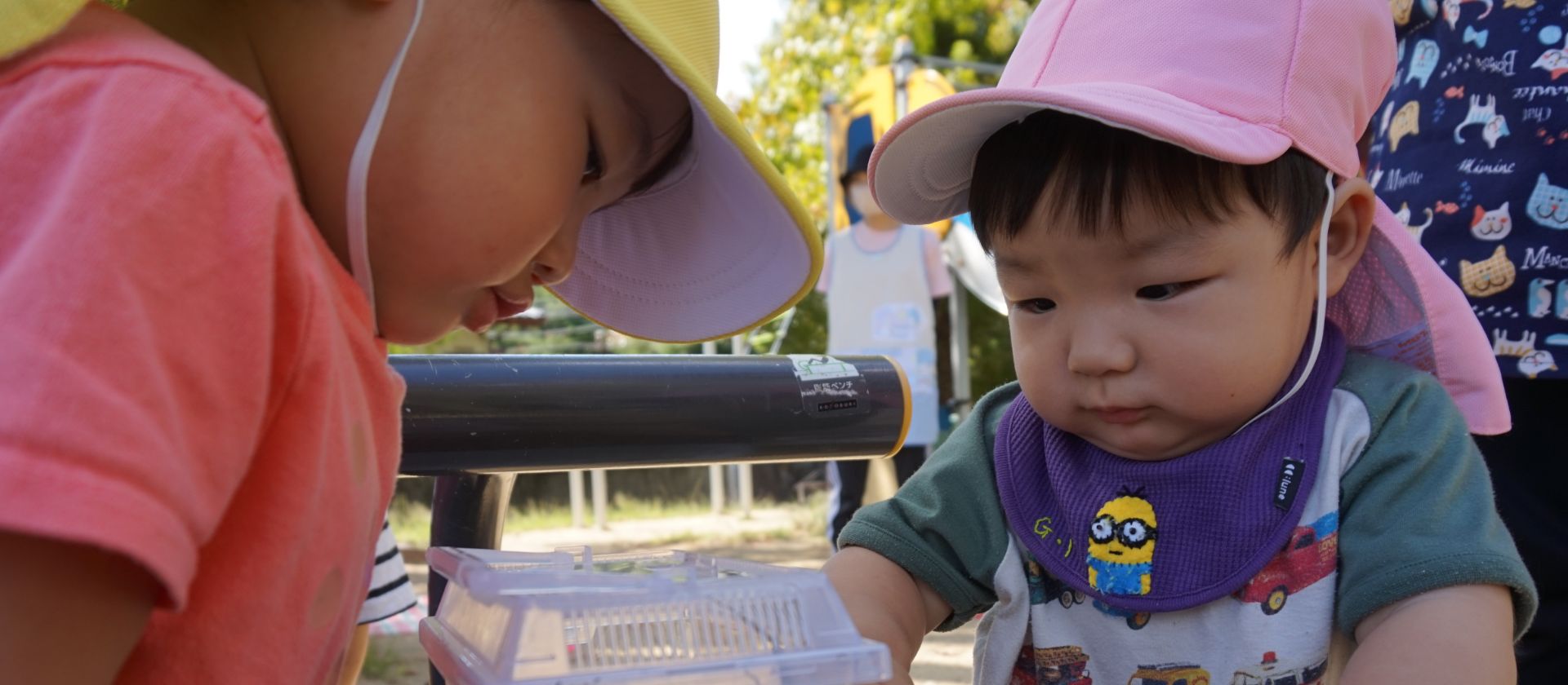 おもしろいことなんでもくじら級