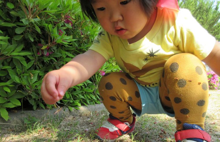 くじら認定こども園が大切にしていること