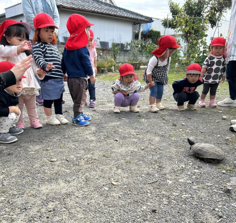 出来ることが増えた　だいちチーム　１歳児✨