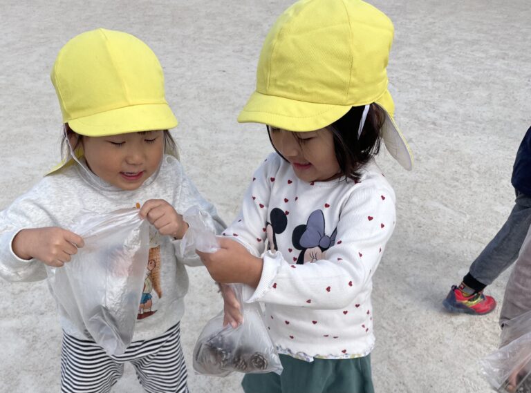 松ぼっくり拾い&クリスマスツリー作り🎄(全園児)