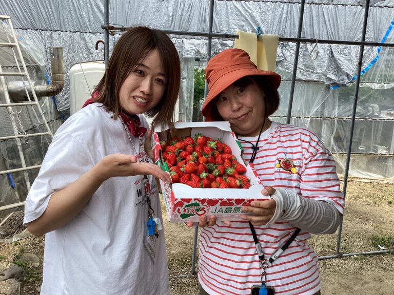 いちご狩り🍓（5歳児）