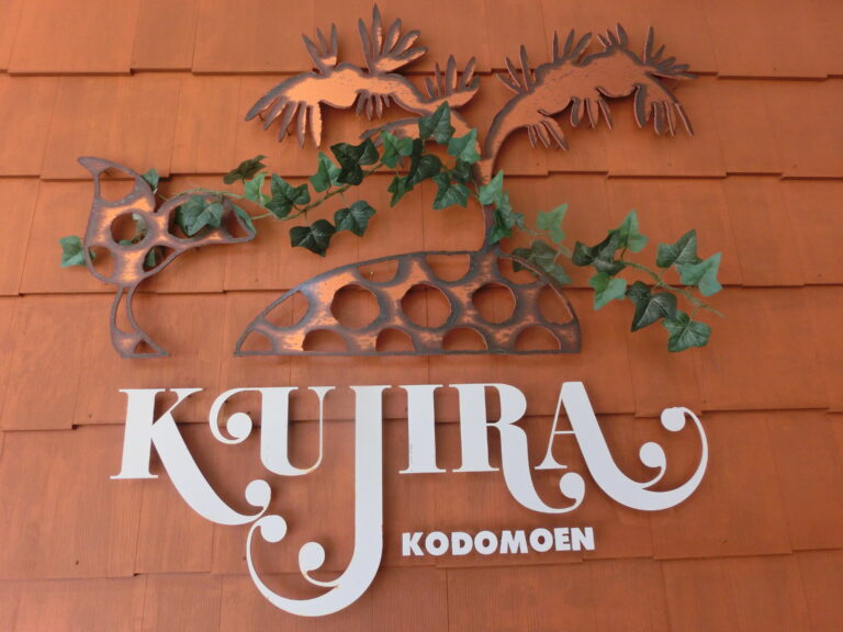 令和8年度幼稚園部の願書受付と募集人数についてのお知らせです📣⭐