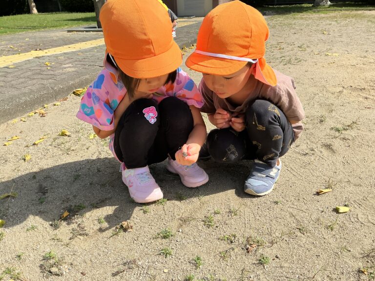 そらチーム🍂いろんな秋