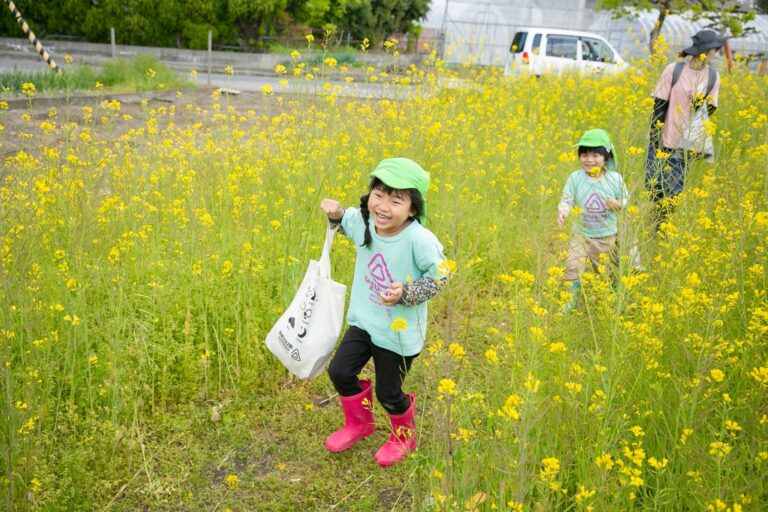 素敵なおすそわけ💛～枝豆苗植え後～