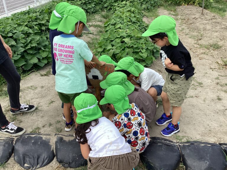 こんなところに！