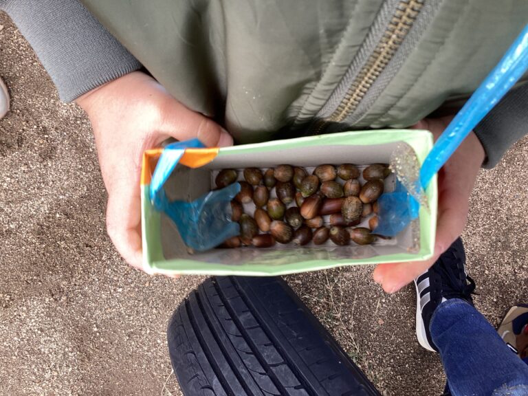 宝物見せてあげる💓　にじぐみ（2歳児）