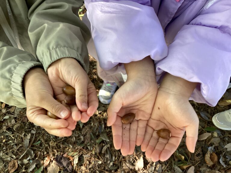 公園に行ってきました！つき組(5歳児)