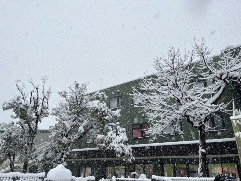 心を込めて頑張っています🥰