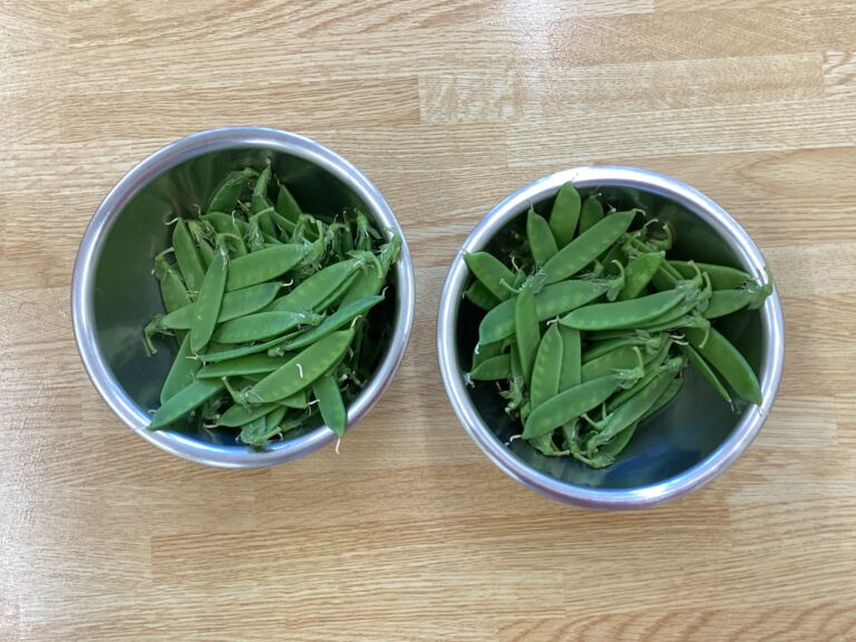 絹さやってな~に！？🤔(つき組　5歳児)