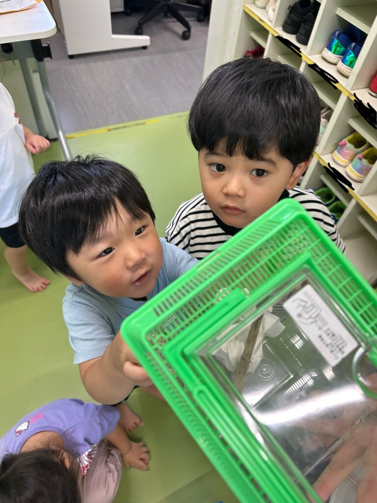 カマキリ大きくなったかな？　にじ組(2歳児)