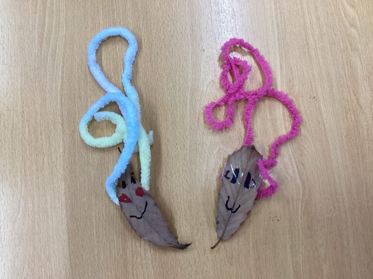 秋遊び🍂【そら組　4歳児】