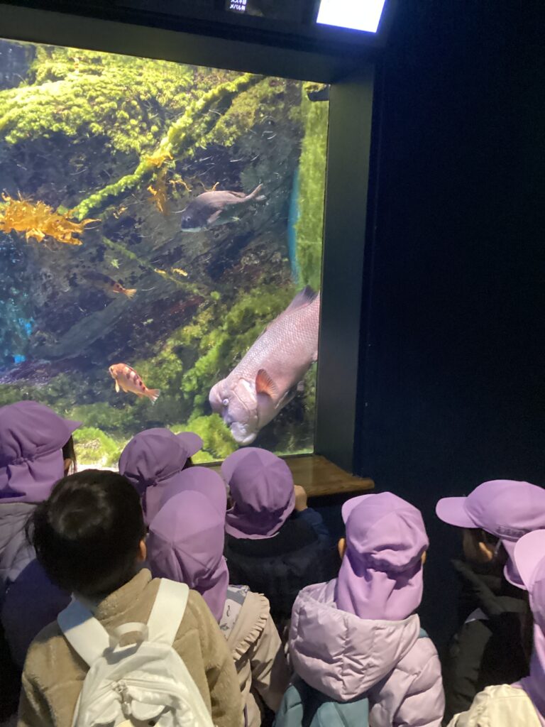 遠足に行って来たよ💕３歳児ゆきぐみ