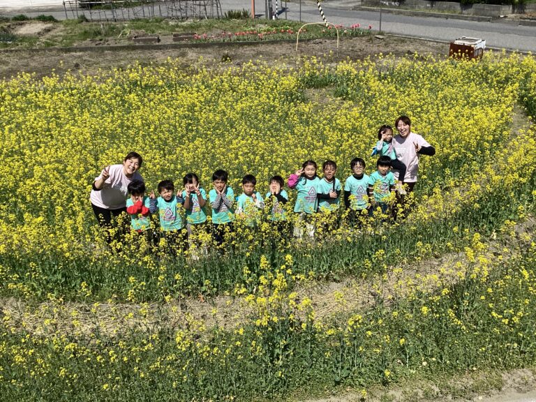 菜の花の向こうに…（5歳児つきぐみ）