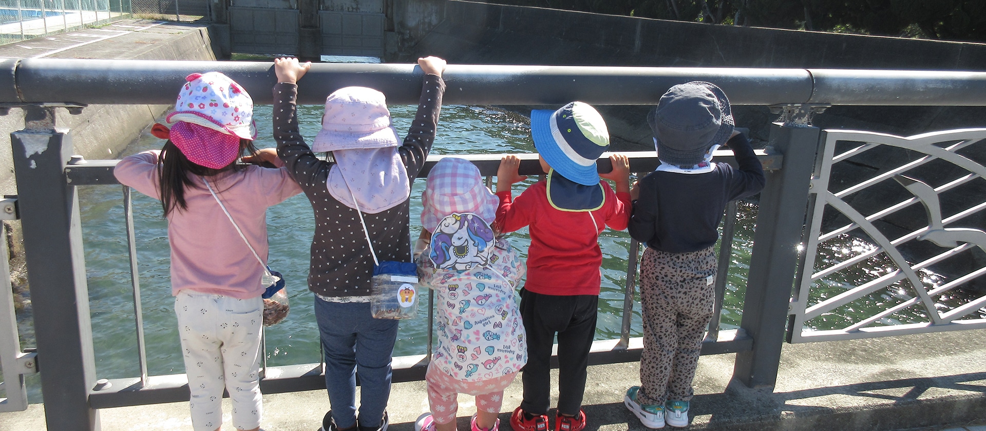 おもしろいことなんでもくじら級