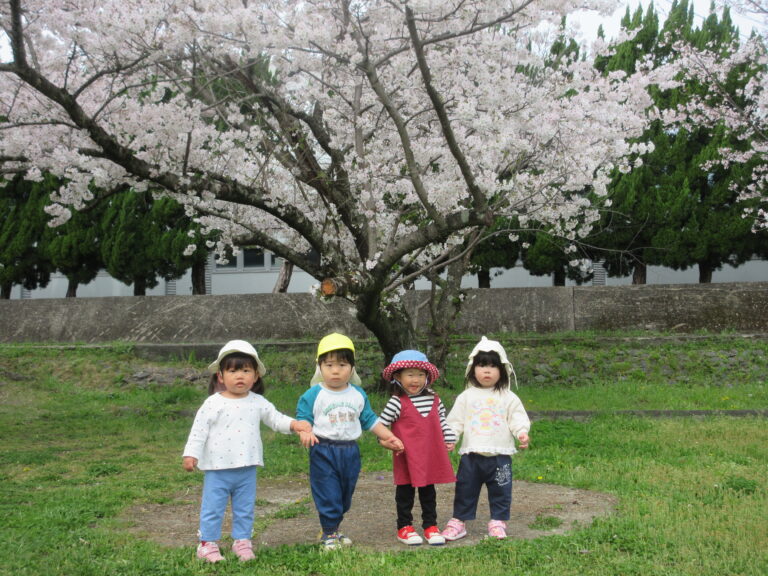 🌸さくらを見に行ったよ🌸