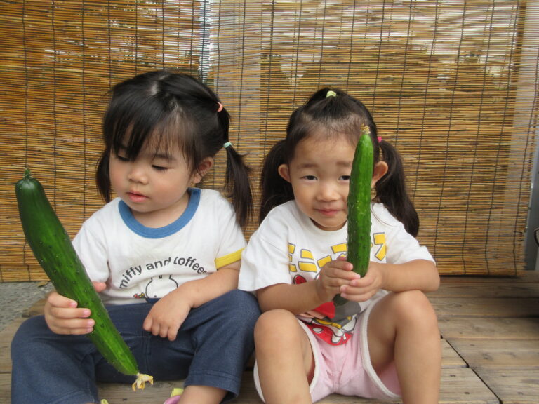 大きなきゅうりができたよ🥒