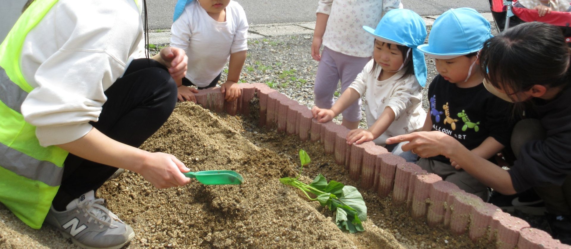 おもしろいことなんでもくじら級