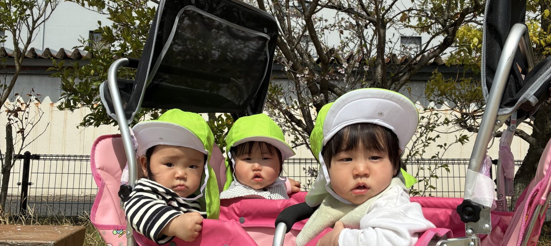 おもしろいことなんでもくじら級