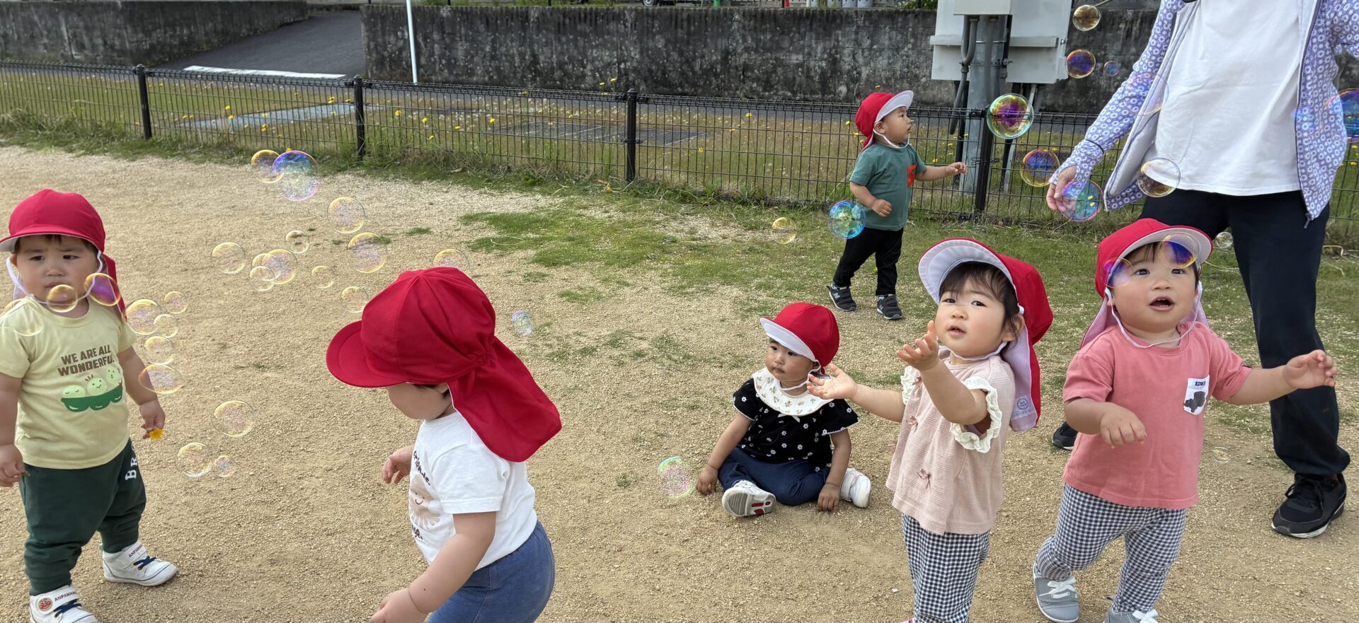 おもしろいことなんでもくじら級