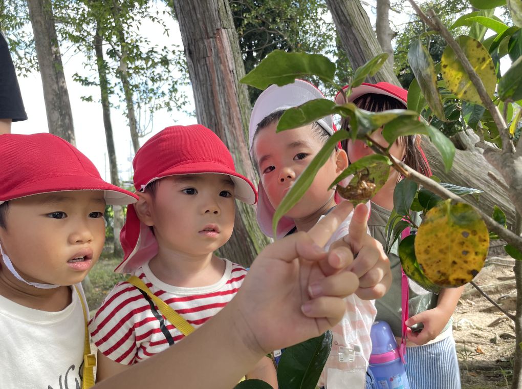 WISHくじらの願い