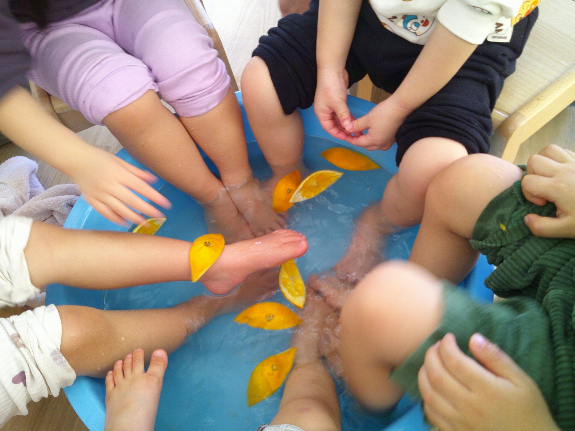 おもしろいことなんでもくじら級