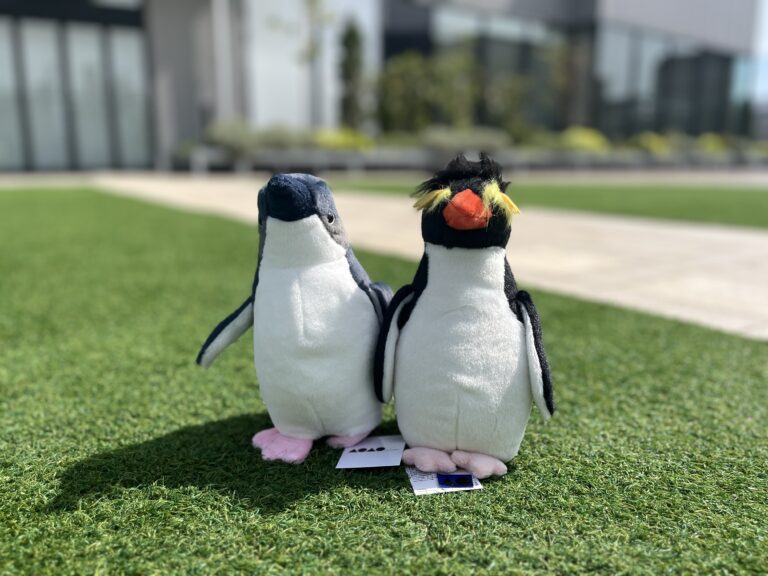 お楽しみ会③🐧