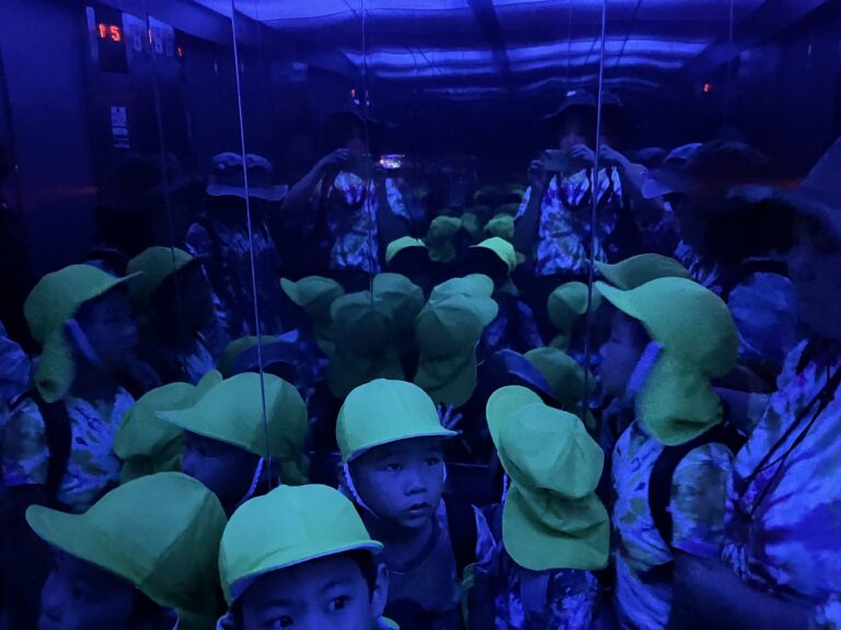 お楽しみ会⑤🎡🚕