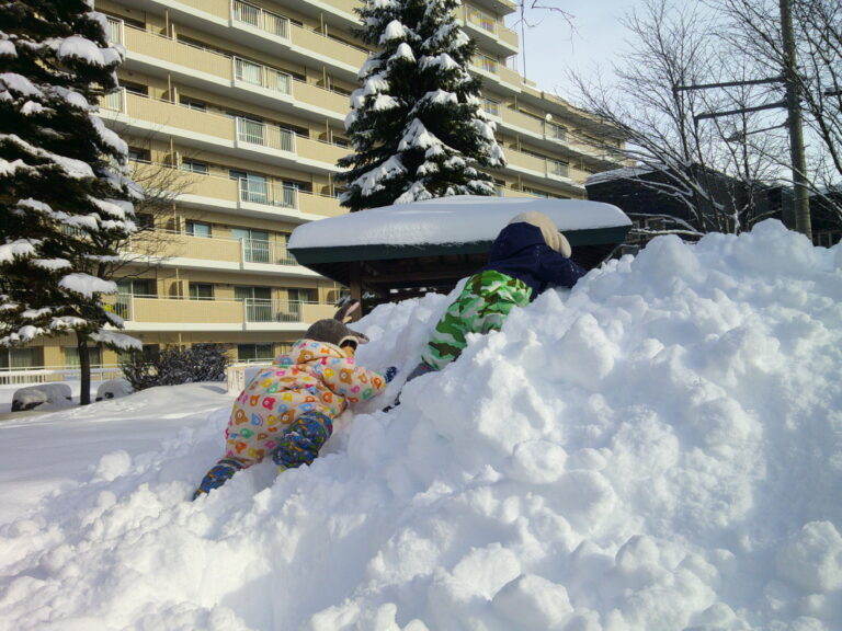 北海道と言えば‥☃❄