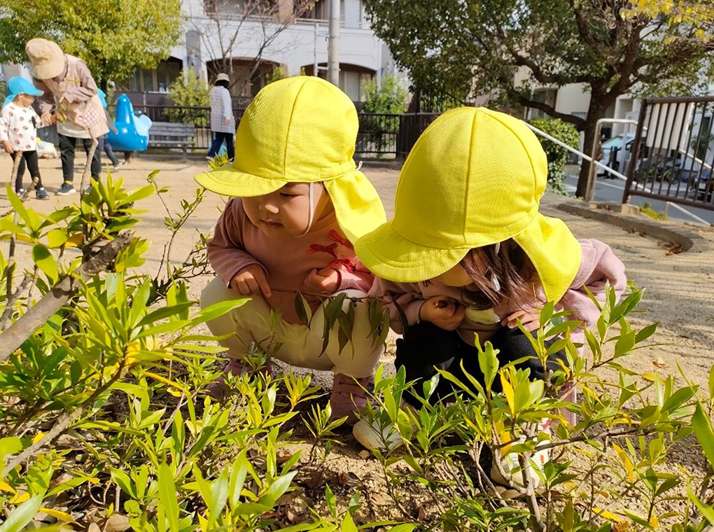 FEATURES園の特色