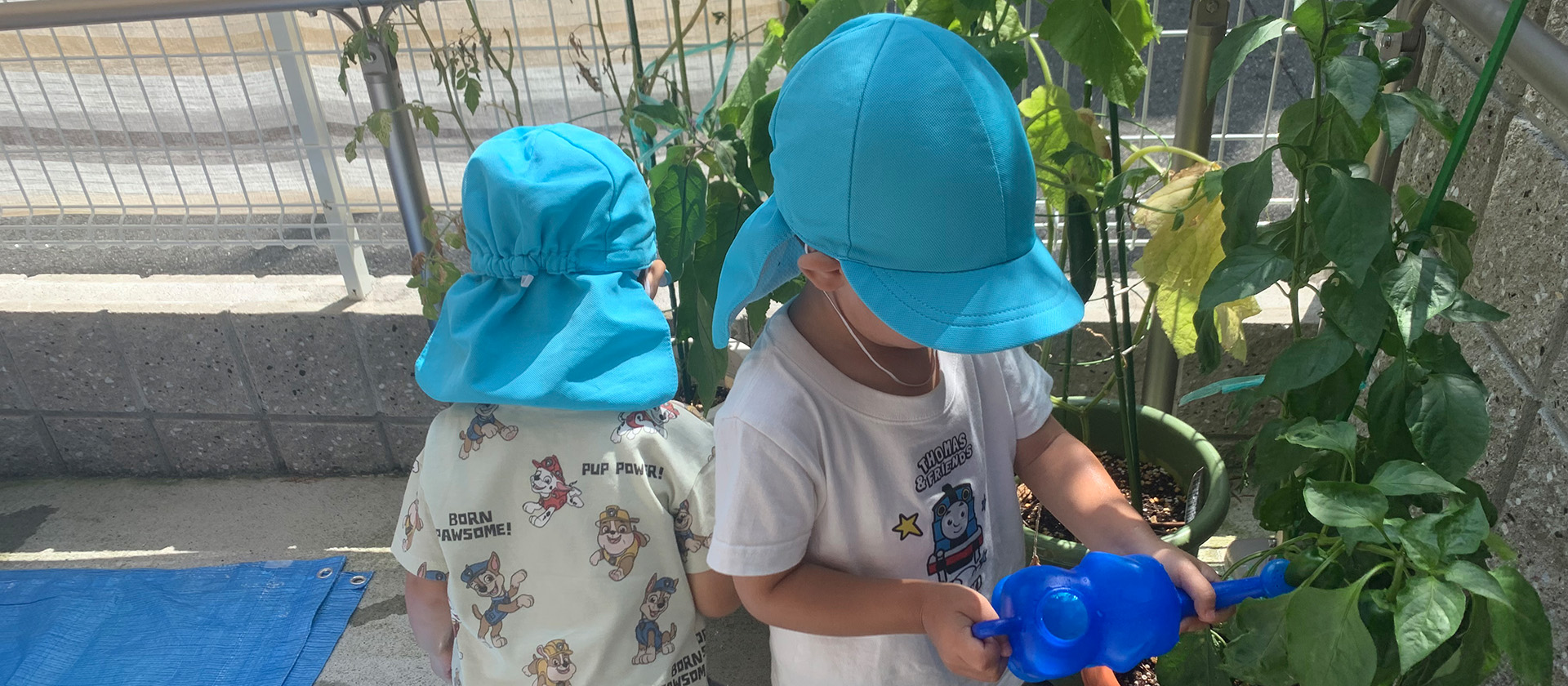 おもしろいことなんでもくじら級