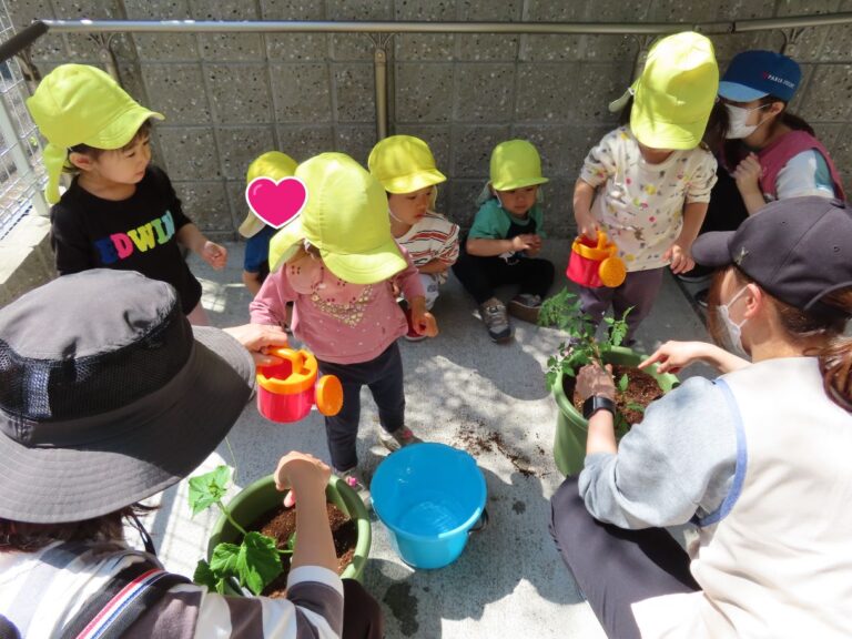 【あめ組】苗の植え付けを行いました♪