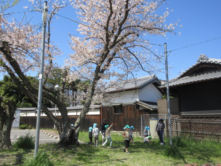 ぽかぽかぽかの春🍀