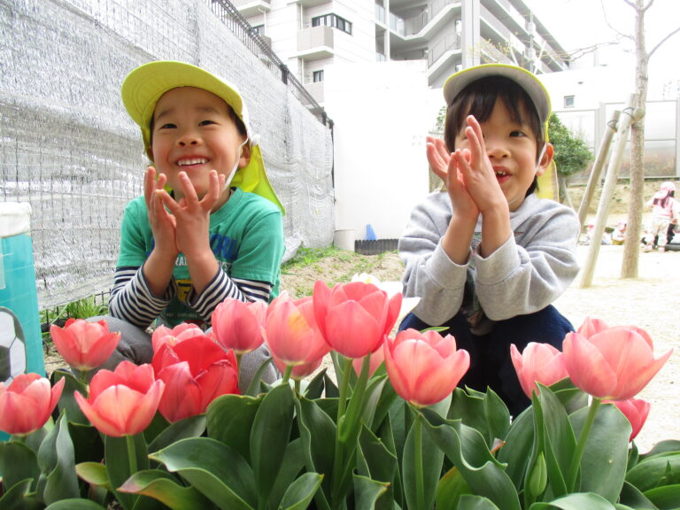 🌸朝の園庭あそび🌸