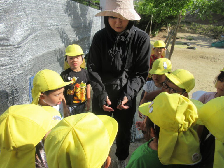 ちょうちょう🦋バイバイ✋