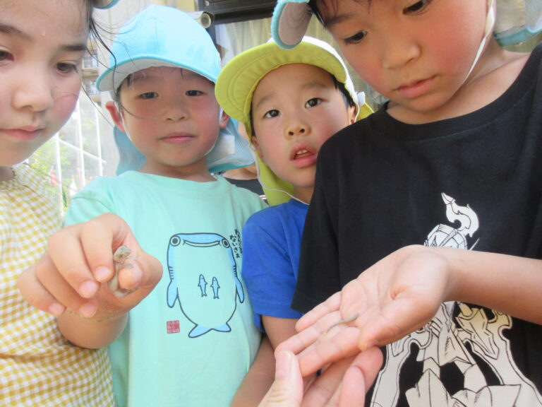 ヤモリ発見👀✨