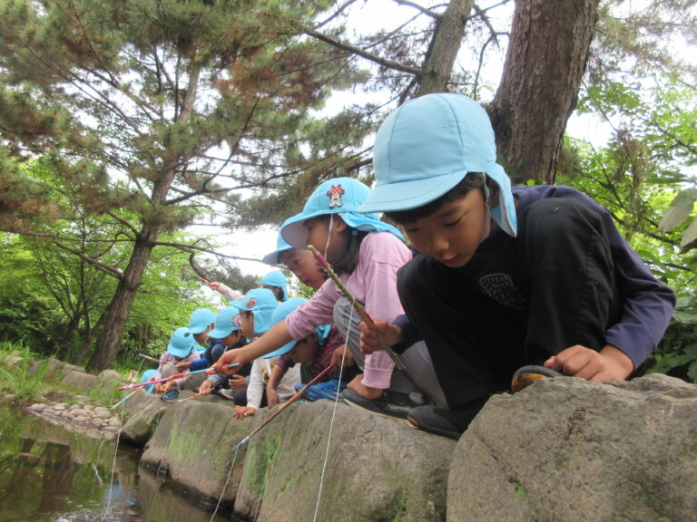 ザリガニ釣り🦐