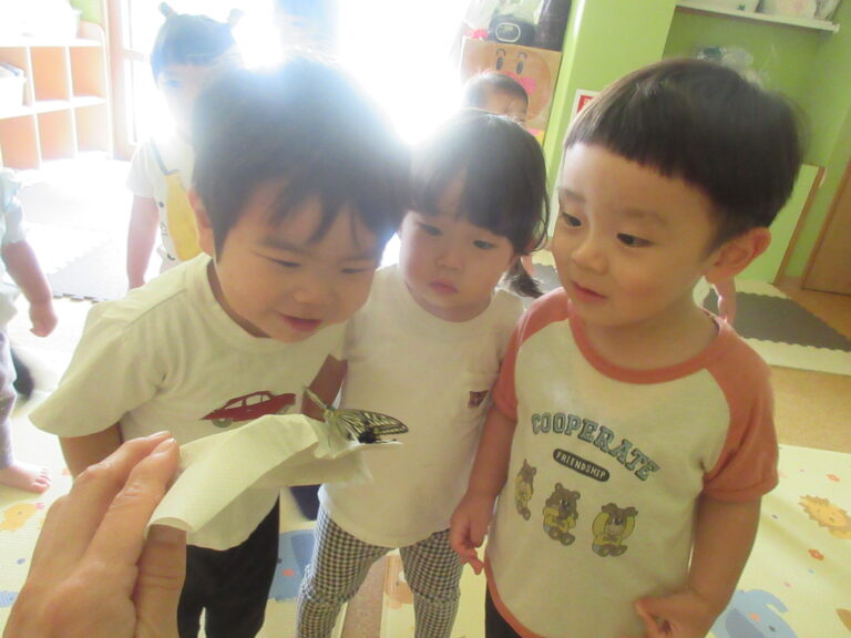 ちょうちょう🦋ばいば～い！！