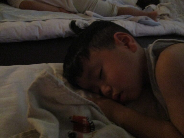 お昼寝💤すやすや