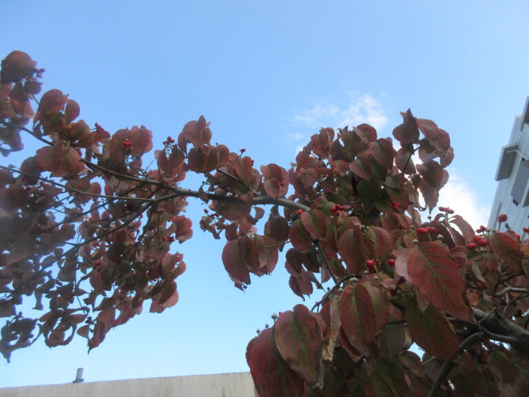 いいお顔😊😊😊✨