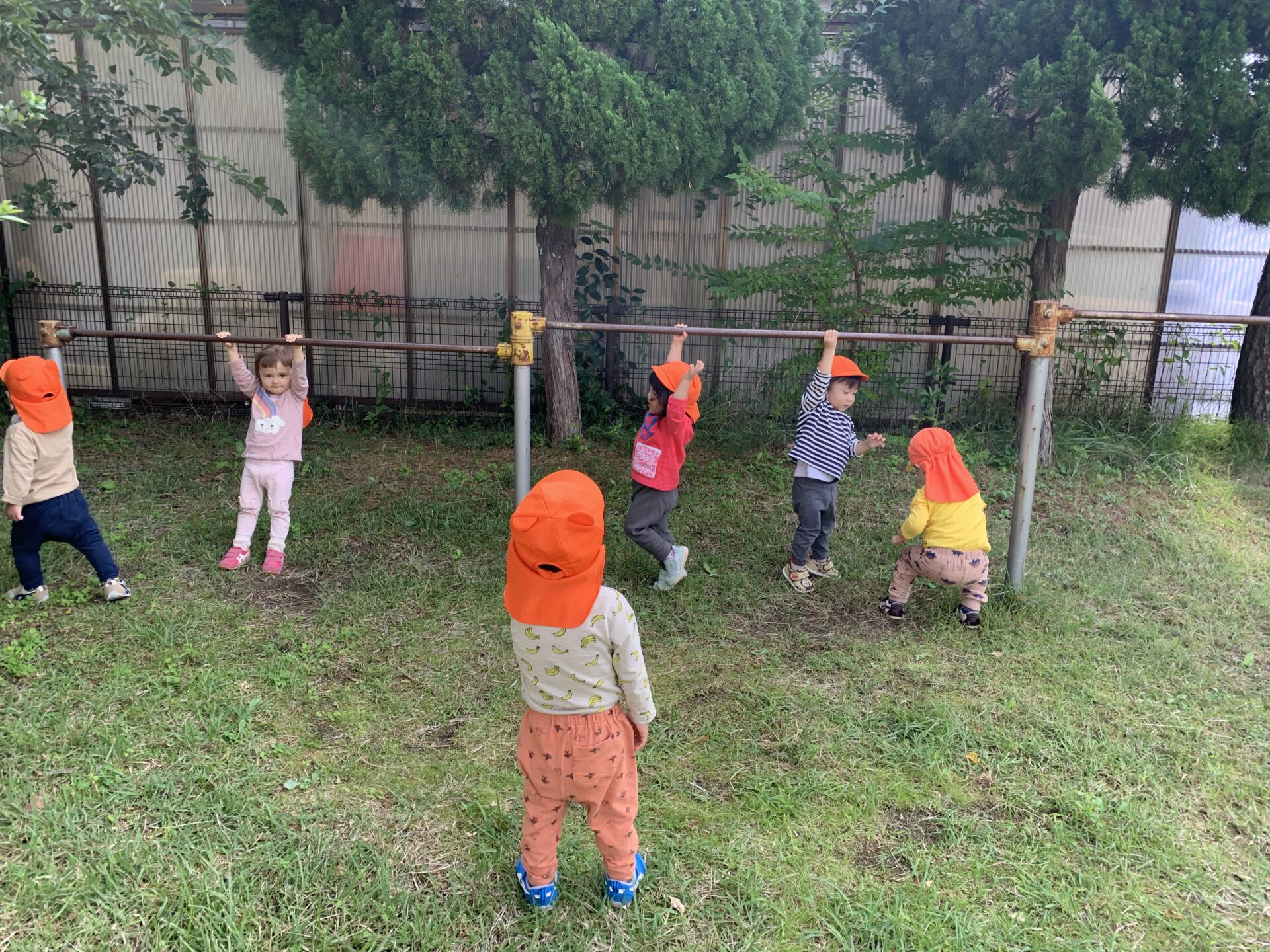 遊びに来てくれたよ！