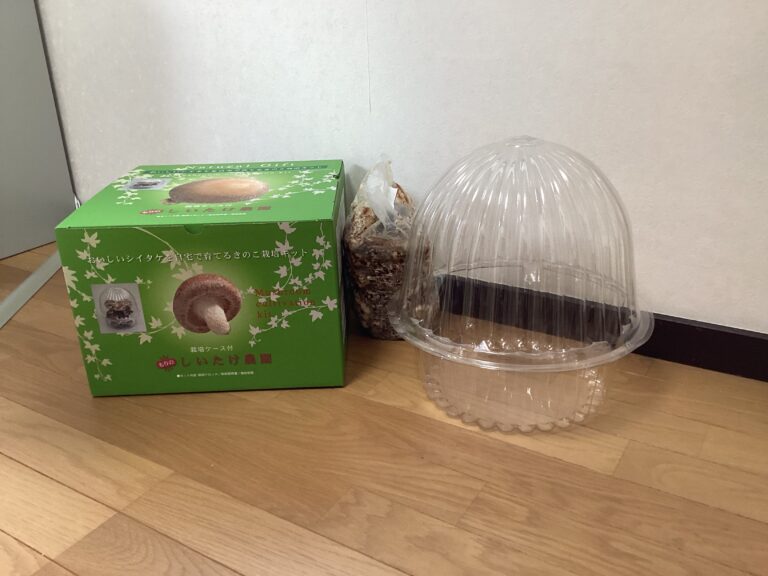 ニョキニョキ　大きくなーれ！