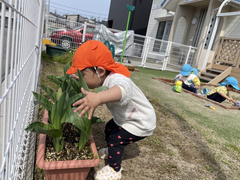 どんな色がすき♪