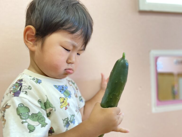 お野菜日記③〜収穫編〜