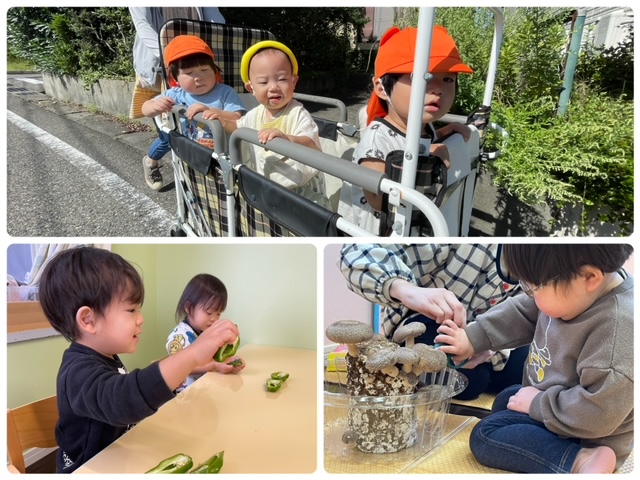 いっぱい食べて・遊んで・おおきくなったね！