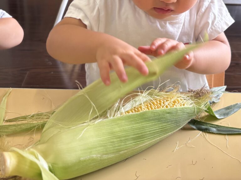 夏を食べよう🌽