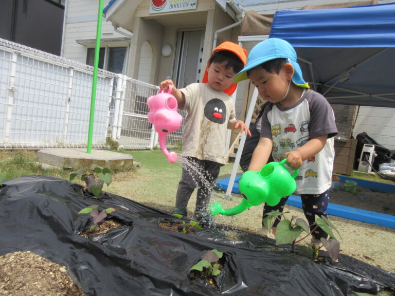 さつまいも、大きくなってね🍠