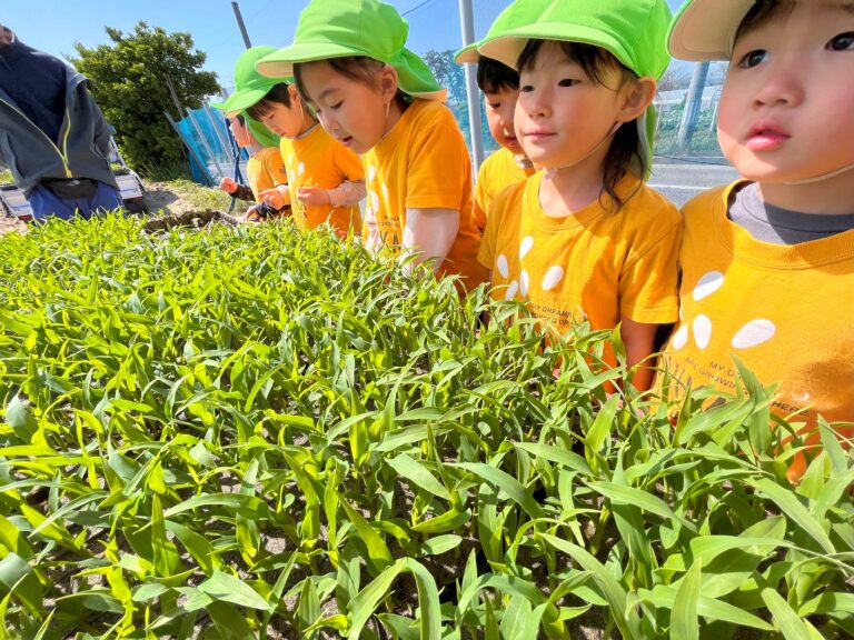 つき組（5歳児）🌽地域農園のお手伝い！できるの楽しみ！！