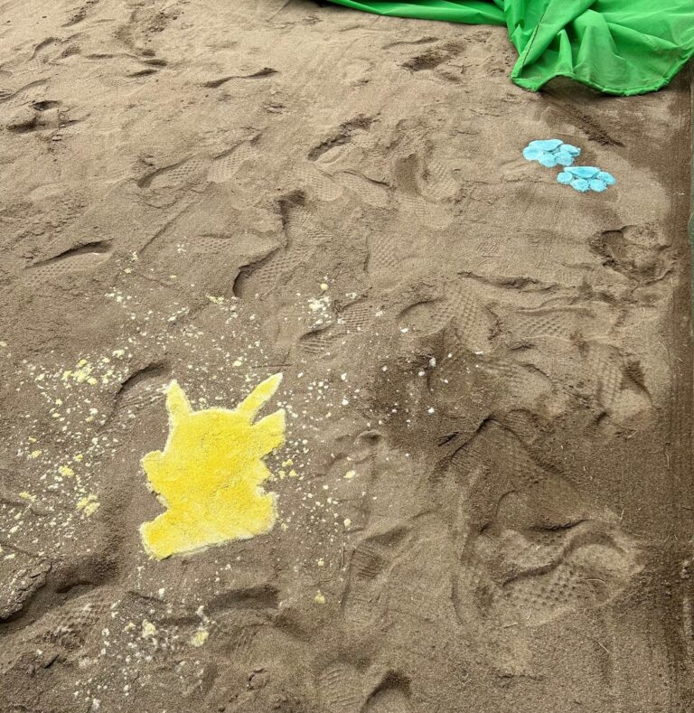 ピカチュウ発見👀