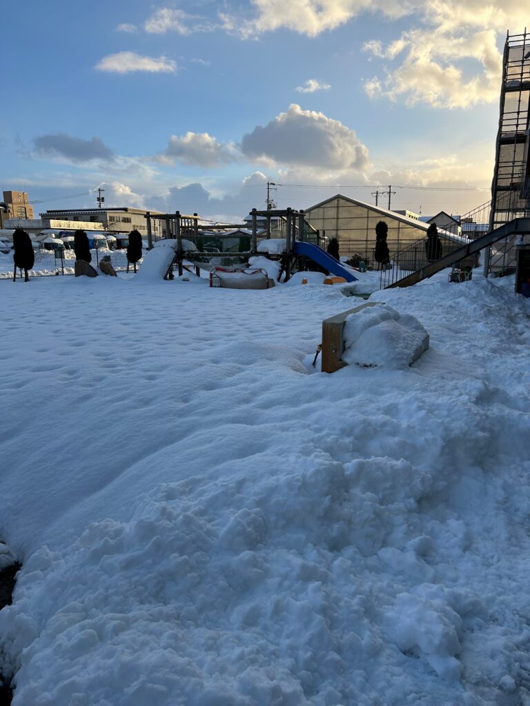 冬の強い味方！